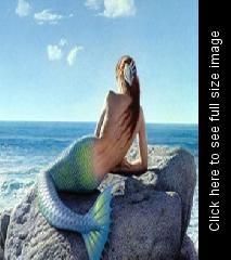 ce ati face daca ati fii sirene sau ati avea prietene sirene? 

ati spune la toata lumea sau ati